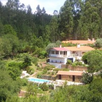 /album/www-wildandwonderful-de/quinta-jpg/